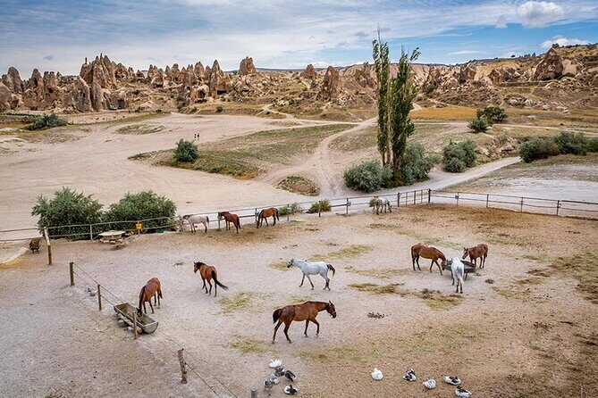 10-Days Istanbul, Ephesus, Pamukkale, Antalya & Cappadocia Tour - Ephesus and the Virgin Mary’s House: One Day, Two Deep Themes