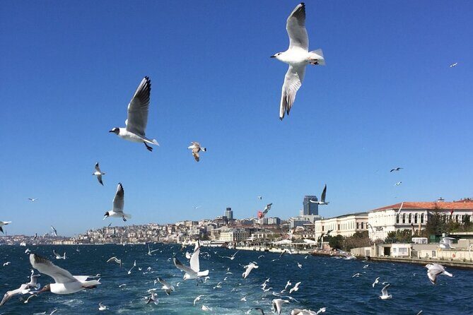 2-Hour Private Luxury Yacht Cruise on Bosphorus with Transfers - The bridges and the long view: how Bosphorus Cruise adds context