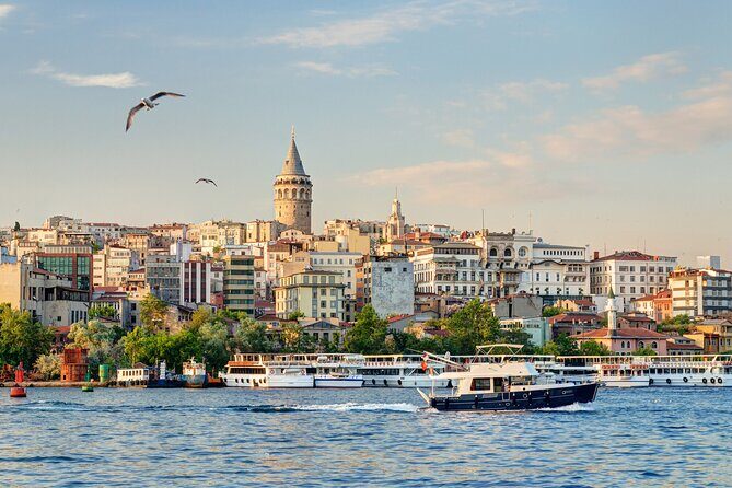 A-Day-Tour of Istanbul, by Land and Sea - Bosphorus Bridge Views: The Quick Geography Fix