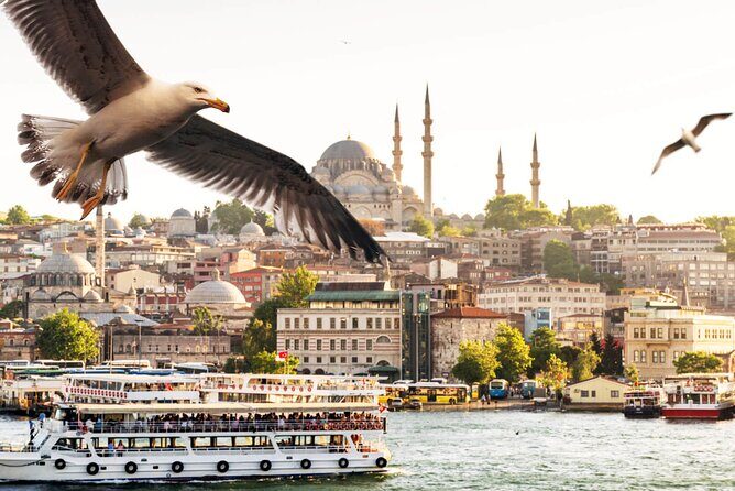 Asian Side of Istanbul Tour - Half-Day Small Group Tour - Çamlıca Hill: Panoramas With Pine Trees and Tea-House Breaks