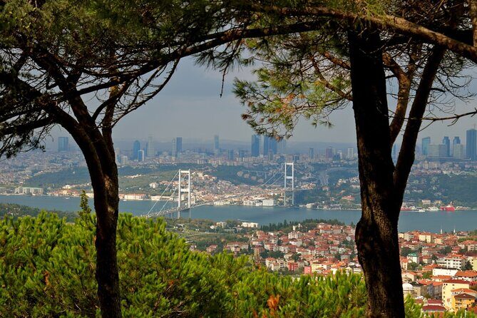 Asian Side of Istanbul Tour - Half-Day Small Group Tour - Bagdat Street: Modern Istanbul After the Ottoman Step Back