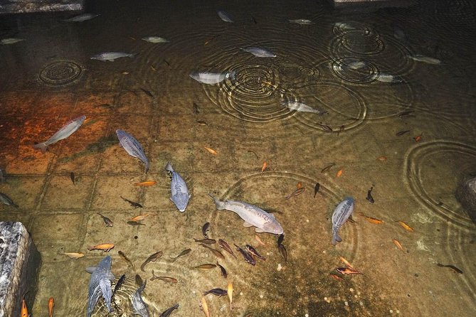 Basilica Cistern Skip the Line Ticket - Price and Value: Is $51.65 Worth It?