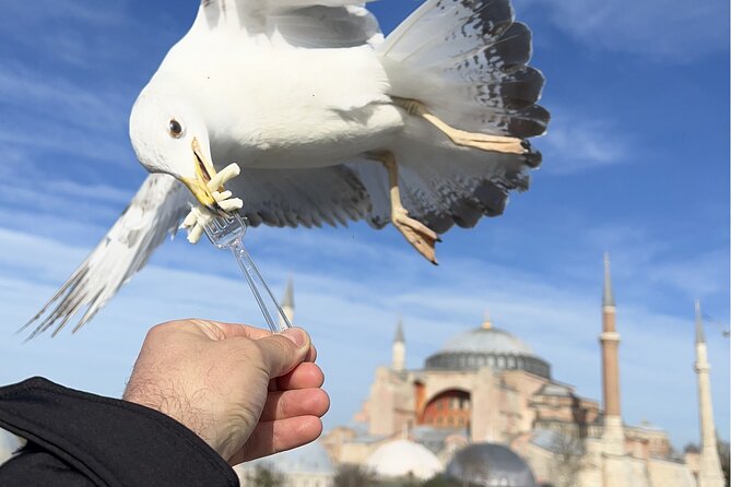 Best of Istanbul City Full-Day Tour with Transfers - Hippodrome of Constantinople: first stop, big names