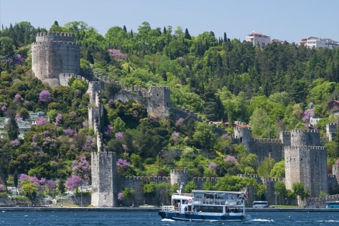 Best of Istanbul with Bosphorus Cruise - Blue Mosque: a skyline moment with easy logistics