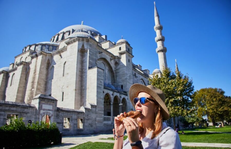 Blue Mosque: Art and Symbolism Guided Group Walking Tour - Ottoman and Islamic Architecture: How the Pieces Fit