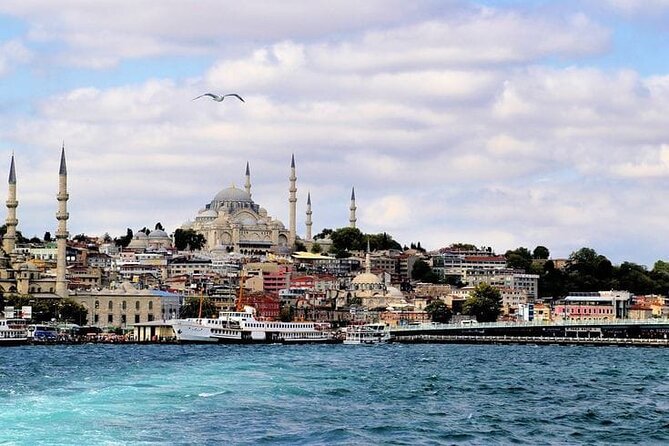 Bosphorus Cruise Tour Istanbul - Group size and boat logistics: what “max 50 travelers” means for you
