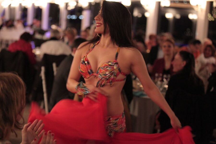 Bosphorus: Dinner Cruise with Live Performances Experience - Who should book, and who should skip