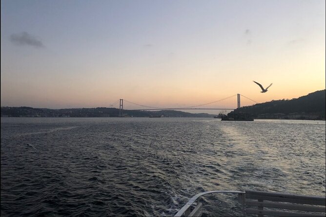 Bosphorus Explorer: 3-Hour Cruise with Asian Side Visit - Fortresses Without the Sweat: Rumeli and Anadolu
