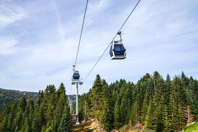 Bursa And Uludağ Tour From İstanbul Included Lunch & Cable Car - Uludağ National Park Time: 600-Year Plane Tree and Mountain Exploring