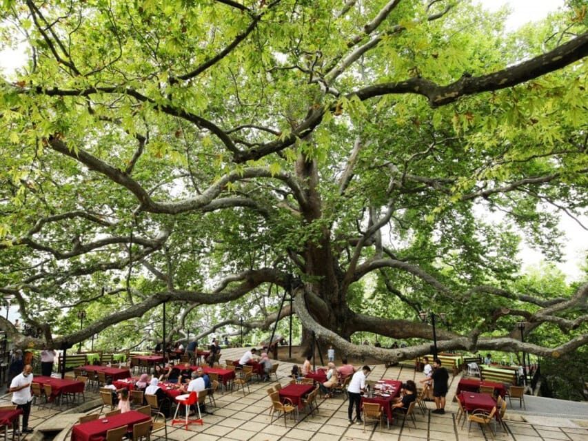 Bursa Full Day Sightseeing Tour from Istanbul - Uludağ by Cable Car: The Mountain Part You Came For