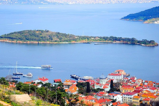 Buyukada Princes’ Island Guided Day Tour with lunch from Istanbul - The island walk: Ottoman houses, pine scenery, and exile-era storytelling