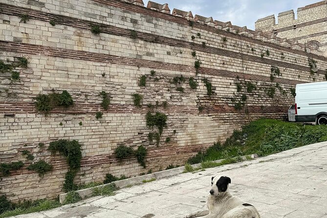 Byzantion Walk Path and City Walls of Istanbul - Mevlanakapı and the Theodosian Walls: engineering you can picture