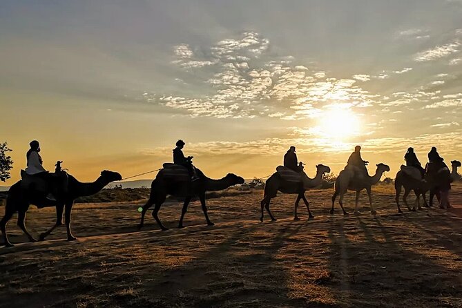 Camel Safari in Cappadocia - Getting Picked Up in Göreme Without Stress