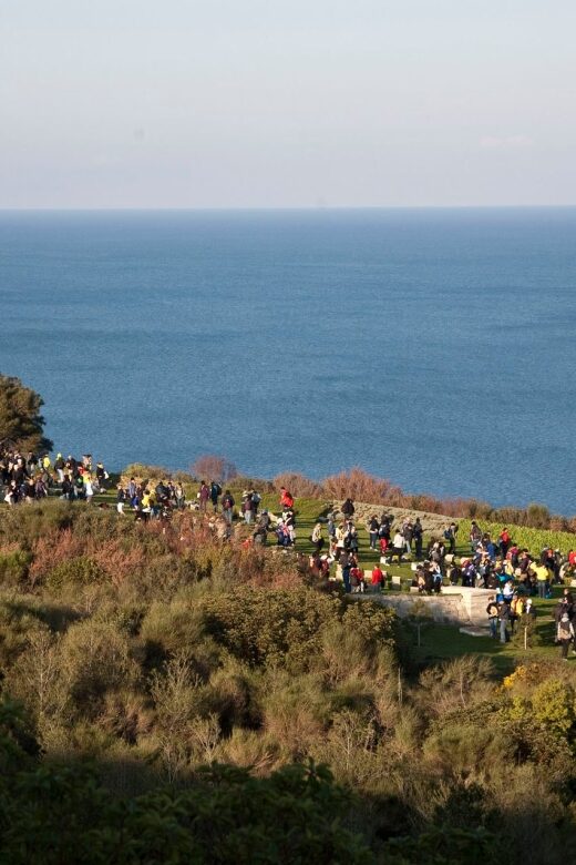 Canakkale: 6-Hour Gallipoli Tour with Lunch - Brighton Beach and ANZAC Cove: seeing April 25 from the shoreline