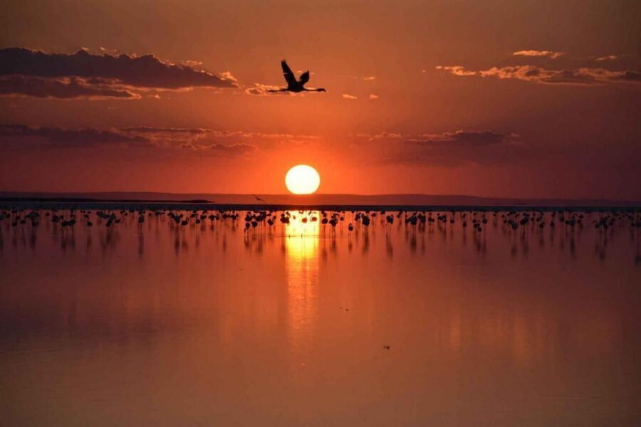 Cappadocia Amazing Sunset Tour To Salt Lake - Bird Watching at Lake Tuz: Flamingos at Golden Hour
