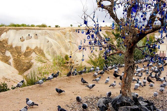 Cappadocia: Blue Tour and Sunrise Balloon Tour - The Morning Rhythm: Pickup, Valleys, and the Balloon Option
