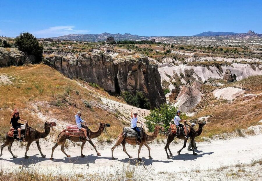 Cappadocia: Camel Safari - Valley views and Rose Valley passing moments