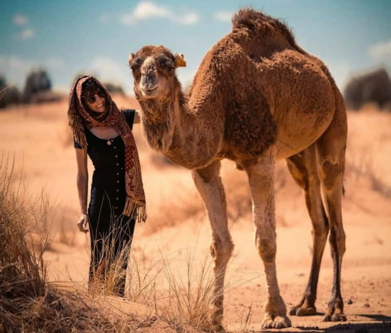 Cappadocia: Camel Safari Tour with Transfer - Your guide, your camel, and the pace (including phone-friendly stops)