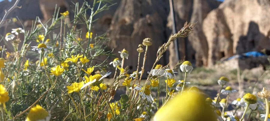 Cappadocia: Derinkuyu, Selime, Nar Crater Lake & Ihlara Tour - Ihlara Valley lunch and canyon hike: where the day turns from looking to walking