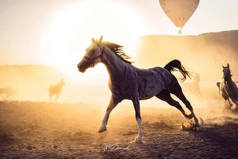 Cappadocia: Fascinating Horse Tour in Göreme Valleys - The on-horse part: confidence, scenic stops, and wildlife time