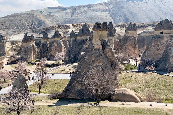 Cappadocia : Full Day Private Tour - Devrent Valley: imagination made visible