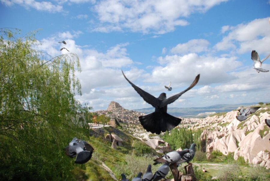 Cappadocia: Highlights Tour with Lunch and Entry Tickets - Pasabag and Cavusin: the fairy chimney showstopper