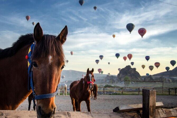 Cappadocia Horse Riding Experience Sunrise Sunset Daytime - Sunrise, sunset, or daytime: why this ride is worth your morning