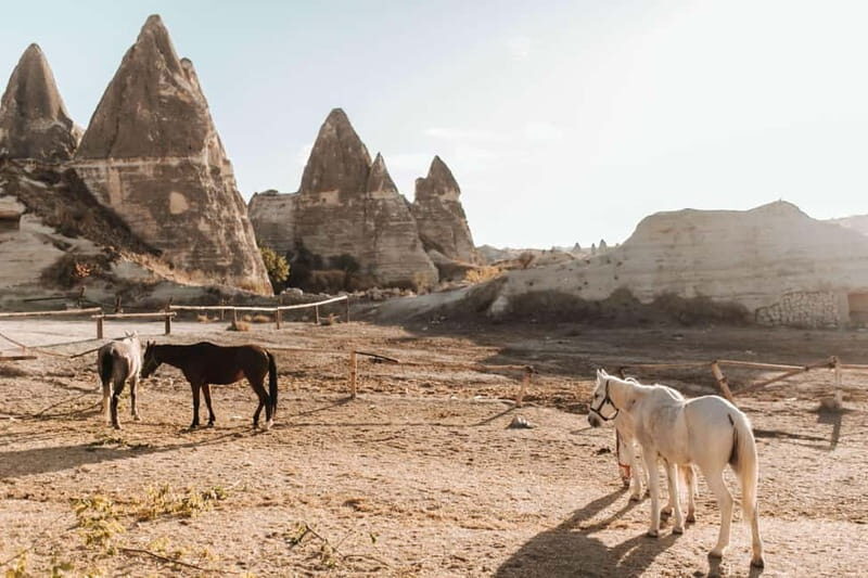 Cappadocia: Horse Riding Tour with Hotel Transfer - Hotel Pickup and Drop-Off Across Cappadocia’s Key Towns