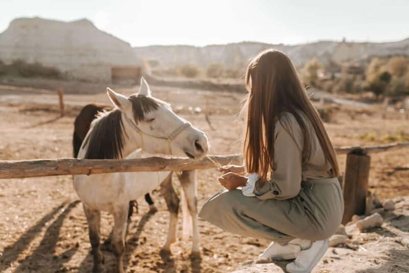Cappadocia: Horse Riding Tour with Hotel Transfer - Daytime vs Sunset: Pick Your Light, Not Just Your Time