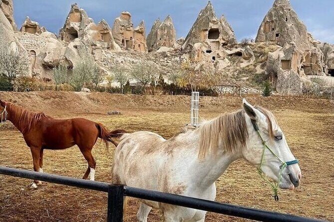 Cappadocia Horseback Riding Tour (Transfer Included) - Training before you ride: why the tutorial matters more than you think
