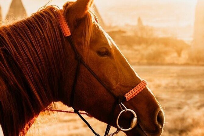 Cappadocia Horseback Riding Tour (Transfer Included) - Hotel pickup and the 2.5-hour flow you should plan for