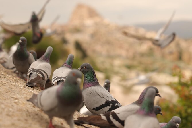 Cappadocia Private Guided Tour(Car&Licensed Guide) - The Car Ride: Comfort, Timing, and a Guide Who Keeps You Oriented