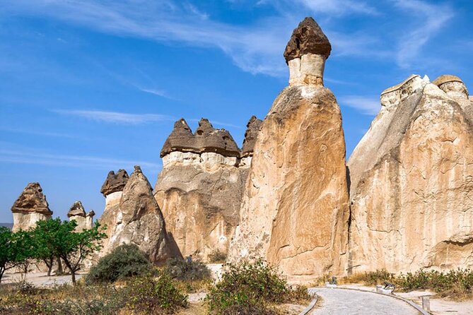 Cappadocia Red & Green Tour in One Day Guided By A Local Expert - Devrent Valley (Imagination Valley): animal shapes in rock