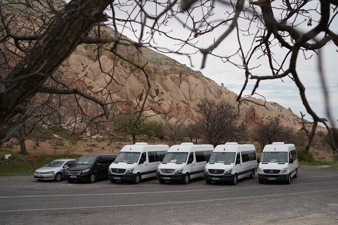 Cappadocia Shuttle: Airport Transfers to/from Kayseri & Nevşehir - Price and value: why $114.14 can be a smart move