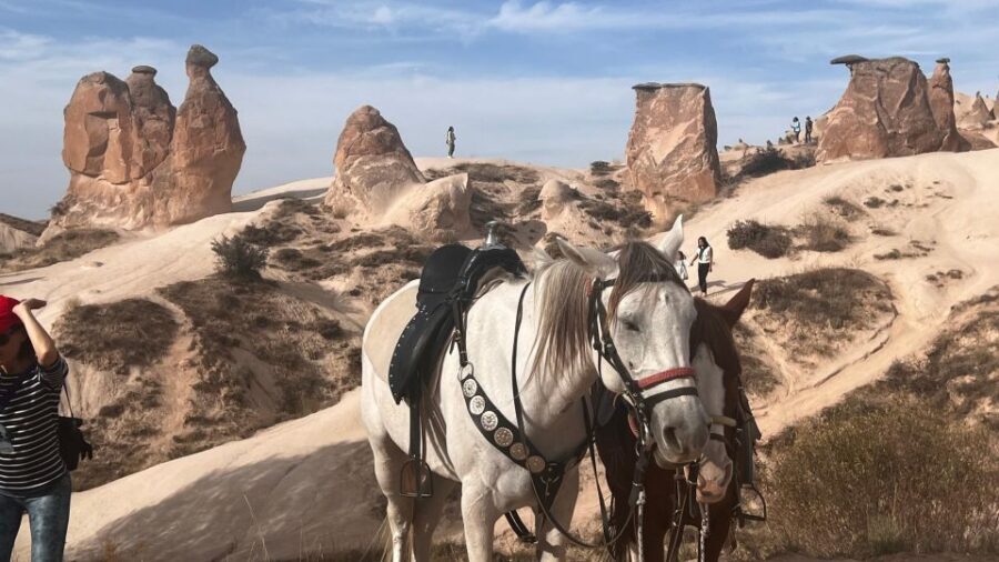 Cappadocia: Small-Group North Tour - Avanos and the Red River: pottery you can watch (and try)