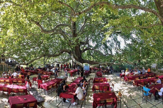 Daily Bursa Uludag Mountain & Cable Car Tour with Lunch from Istanbul - Lunch with one soft drink: why the timing is built for comfort