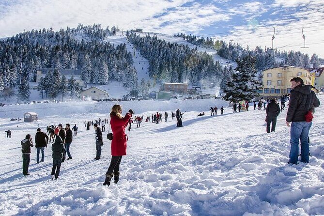 Daily Bursa Uludag Mountain & Cable Car Tour with Lunch from Istanbul - Price and value: what about $50.57 really covers