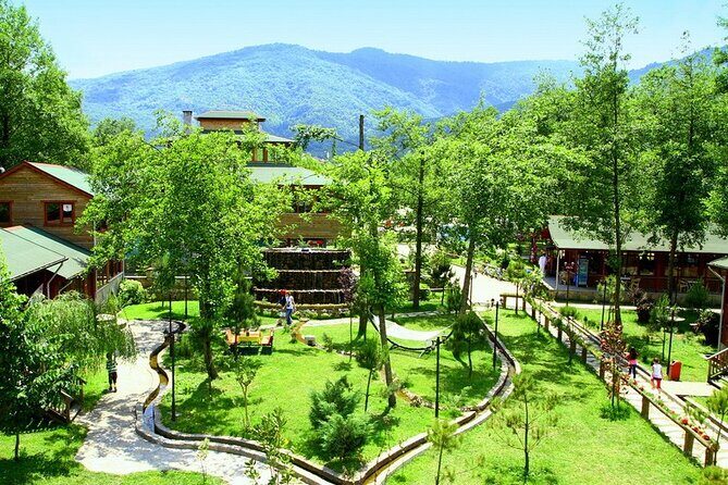 Daily Sapanca & Maşukiye & Mahmudiye Tour with Lunch from Istanbul - A Day Off Istanbul: Sapanca, Forest Villages, and Lake Views