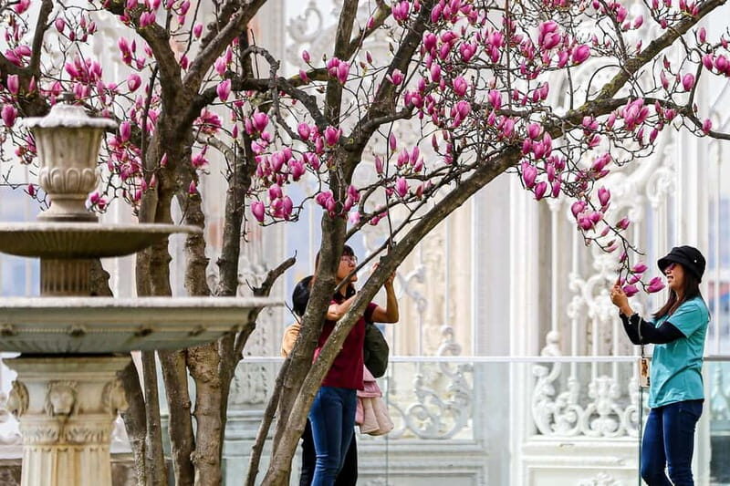 Dolmabahce Palace & Harem Fast-Track Entry with Audio Guide - Who Should Book This Pass (And Who Might Skip It)