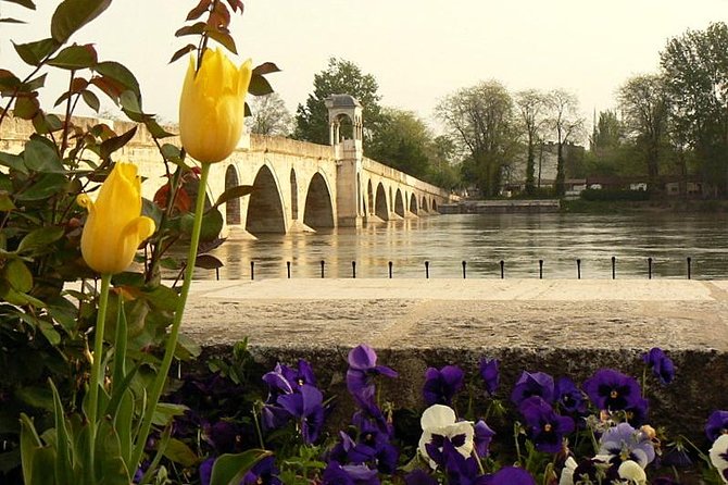 Edirne Day Trip from Istanbul - Selimiye Mosque: Sinan’s late masterpiece in four minarets