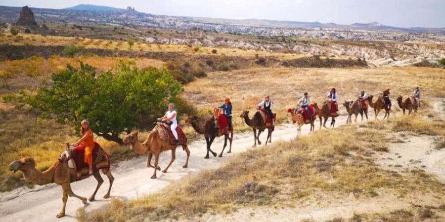 From Cappadocia: Sunrise or Sunset Camel Riding Day Trip - Before You Mount: Safety Briefing and Traditional Clothes