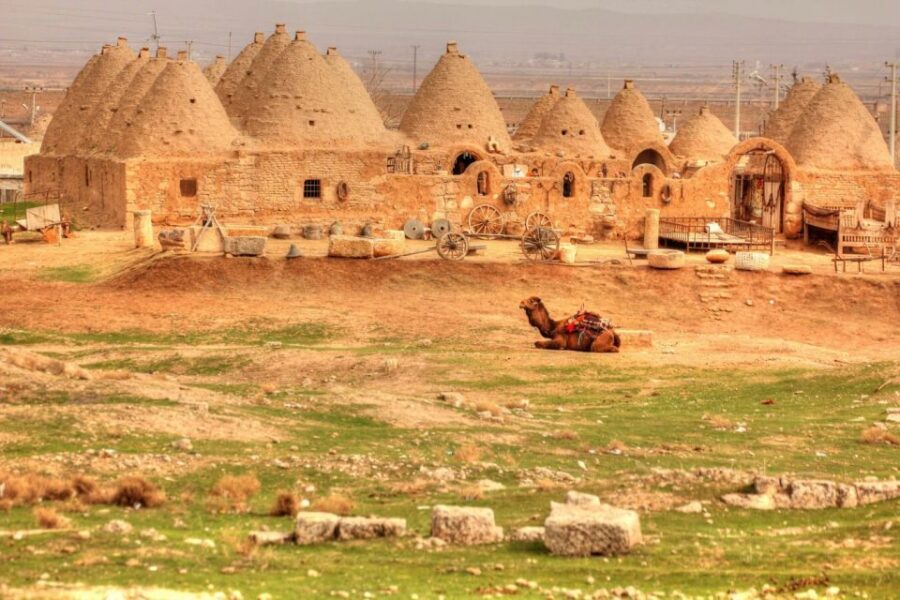 From Istanbul: Gobeklitepe Day Tour - Museum Time and Site Entry Without Hassle