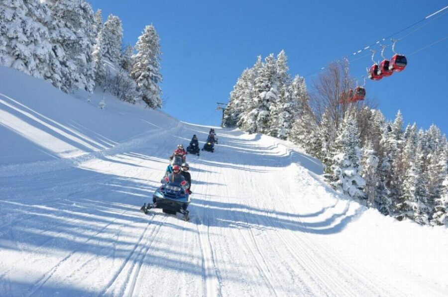 From Istanbul: Green Bursa Full-Day Excursion - Shopping stops: how to keep control of your day