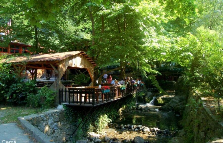 From Istanbul: Guided Day Trip to Sapanca and Masukiye - Sapanca Zoo: animals up close, but treat it as an extra-value stop