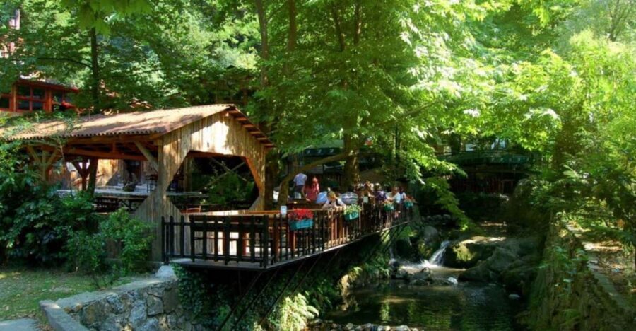 From Istanbul: Guided Day Trip to Sapanca and Masukiye - Road trip to Sapanca Lake: the view is the appetizer
