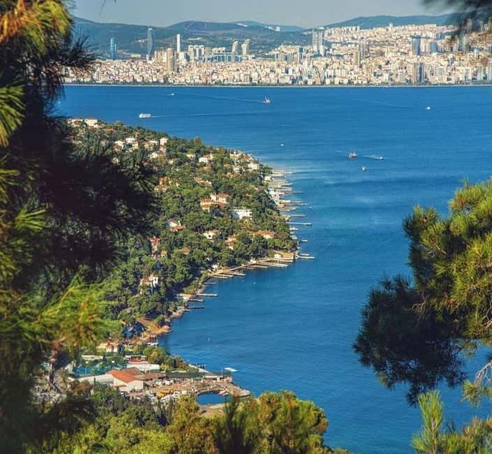 From Istanbul: Princes Island Tour with 2 Islands - Beach time, bikes, and how to avoid feeling rushed