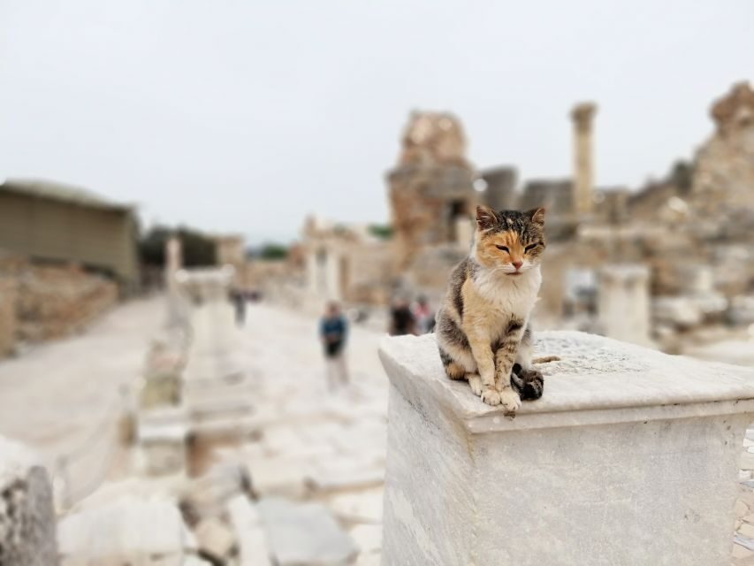 From Istanbul: Private Guided Day Trip to Ephesus with Lunch - How the Flight-and-Pickup Plan Keeps This From Feeling Like a Marathon