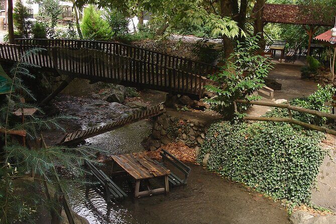 From Istanbul: Sapanca and Masukiye Day Trip with Lunch - Darica Zoo / Lion Park stop: worth it or a detour?