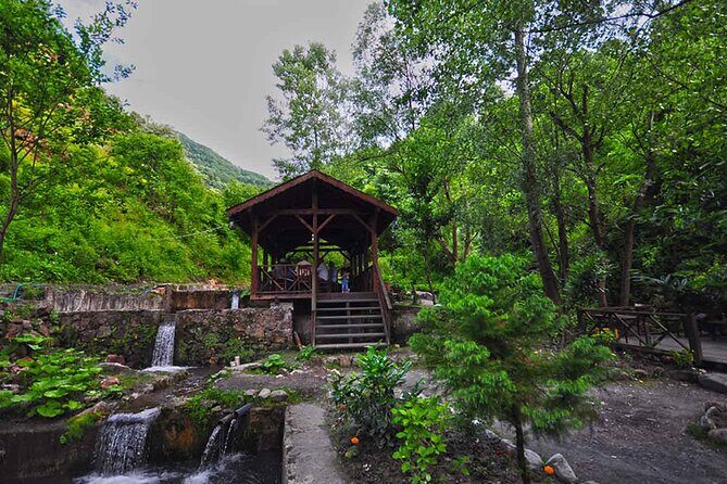 From Istanbul: Sapanca and Masukiye Day Trip with Lunch - Sapanca Lake and Mahmudiye: calmer moments between activities