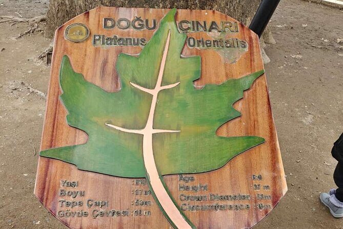 Full Day Guided Tour to Bursa and Uludag - From Istanbul to Bursa: The Day Starts Smooth